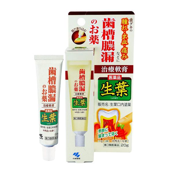 Kobayashi Pharmaceutical Raw Leaf Periodontal Care Ointment 20g