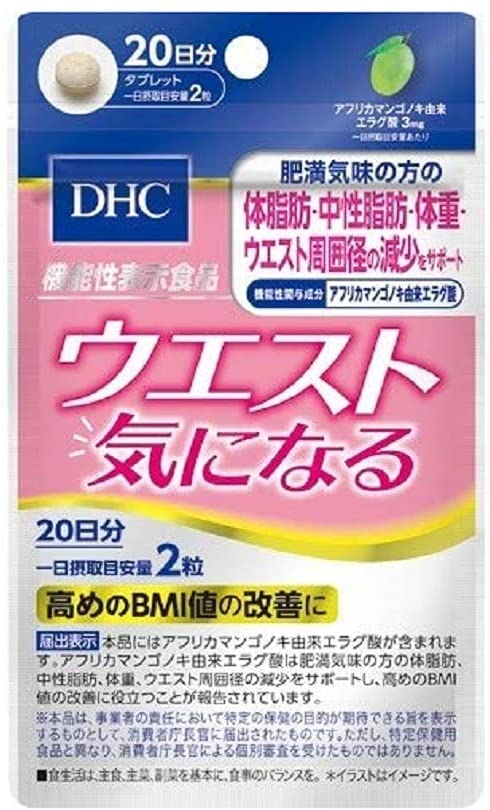 DHC ディクイシ 脂質低下丸薬 20日分 40粒 袋