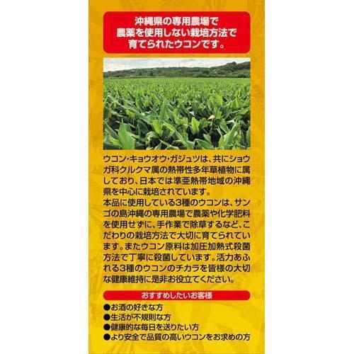 ORIHIRO Okinawa Three Types of Turmeric Comprehensive Tablets 420 Tablets 30 Days' Supply